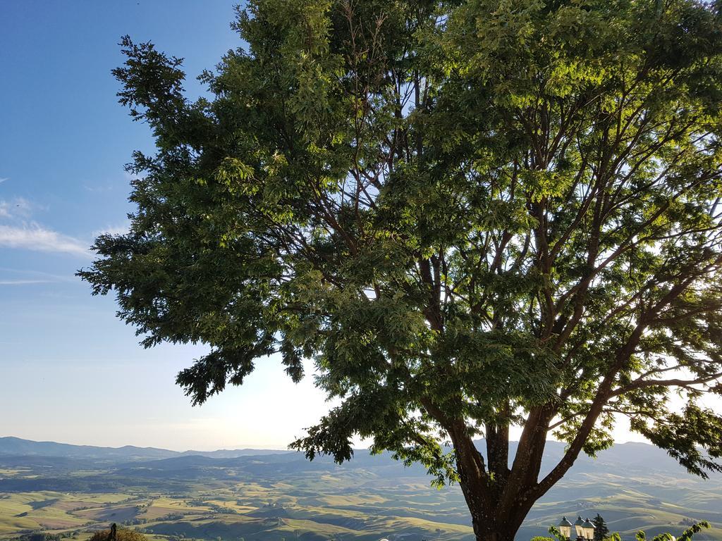 Villa Nencini Volterra Luaran gambar