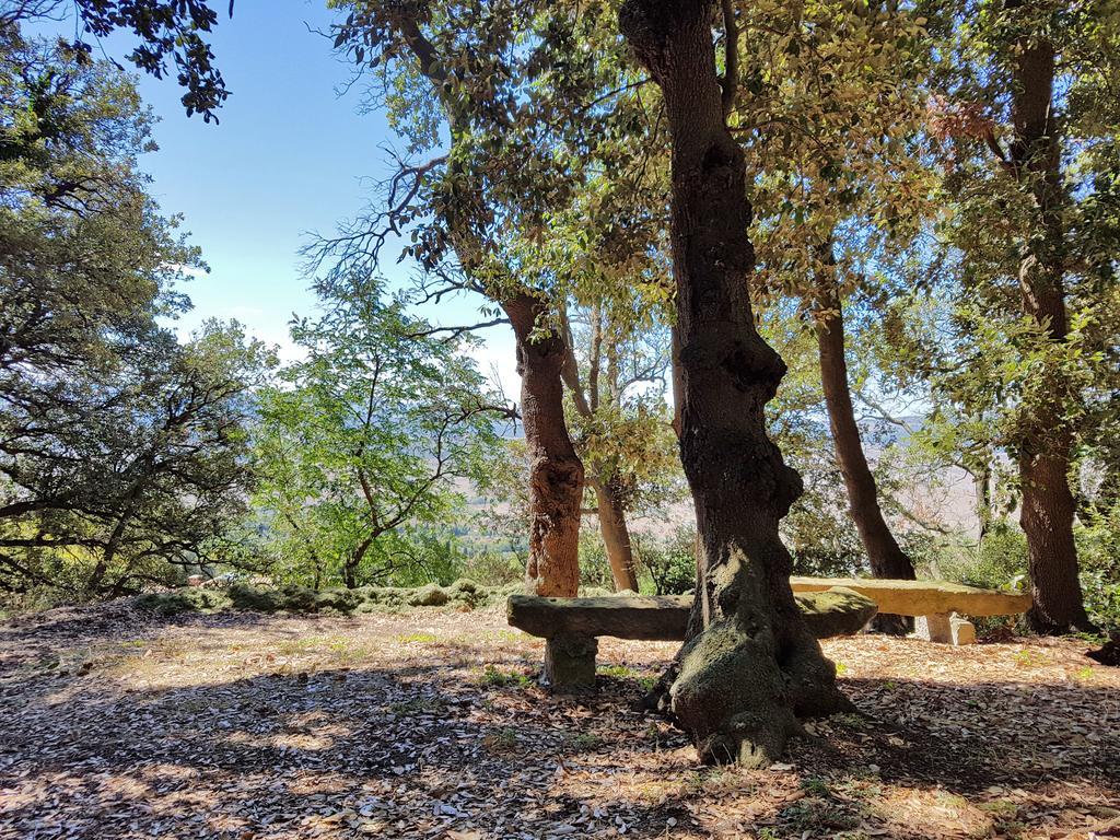 Villa Nencini Volterra Luaran gambar